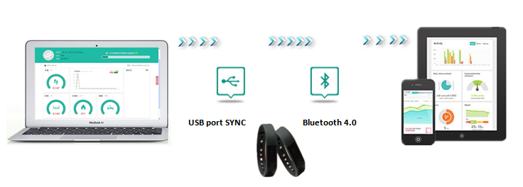 Vidonn X5 IP67 Bluetooth V4.0 Smart Wristband Bracelet with Sports & Sleep Tracking (Green)