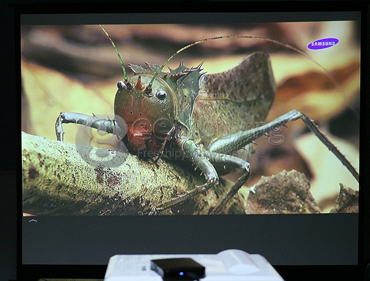 ProHome PH580 LED Projector Multimedia HD 1080P 1280*800 3200 Lumens HDMI USB VGA for Smartphone Game Home Theater White