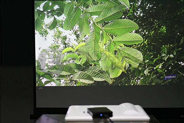 ProHome PH580 LED Projector Multimedia HD 1080P 1280*800 3200 Lumens HDMI USB VGA for Smartphone Game Home Theater White