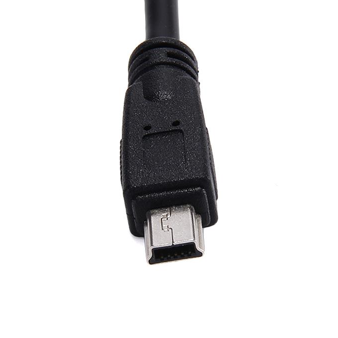 USB Type C To 3.0 Mini 10P Cable Male To Male Data Cable 0.22M - Black
