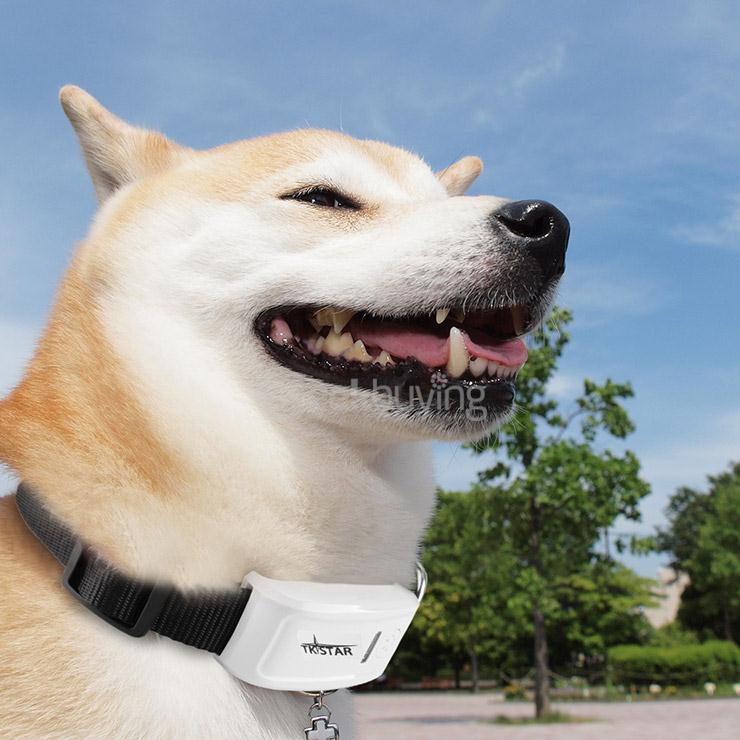 TK-STAR Smart Pet Tracker iPhone Android APP Tracking Real Time GSM GPS w/ Electronic Fence