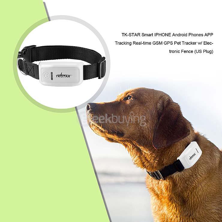 TK-STAR Smart Pet Tracker iPhone Android APP Tracking Real Time GSM GPS w/ Electronic Fence