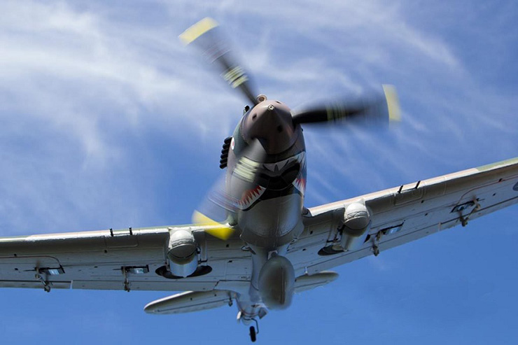 FMS P-40B P40B Flying Tigers 980mm Wingspan Warbird PNP