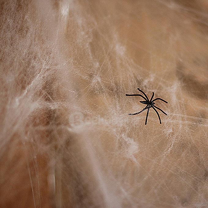 Stretchable Spiderwebs with Spiders for Halloween Decorations - White + Black
