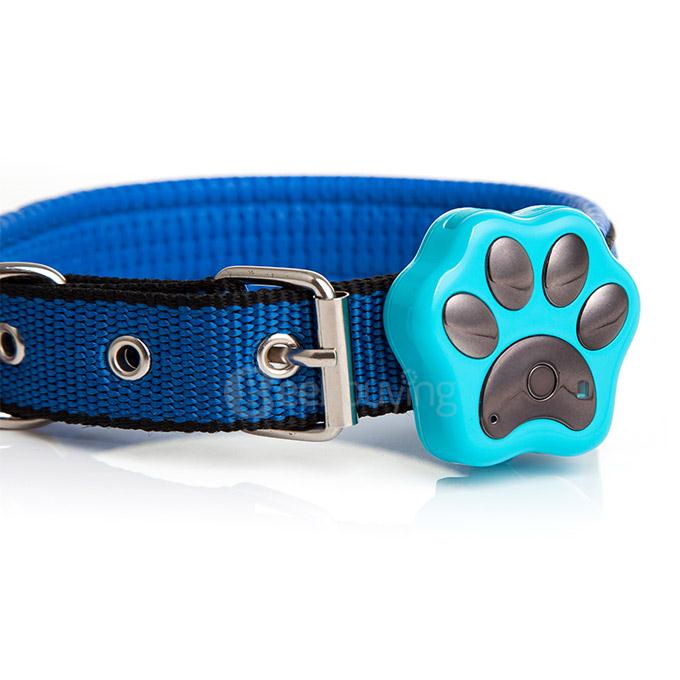 Reachfar RF-V30 IP66 Multifunctional Wi-Fi GPS Tracker Dog Cat Pet Tracker Long Standby Timer Electric Fence - Blue