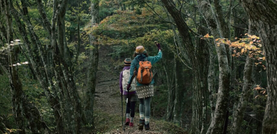 Casio Exilim FR100 3.0