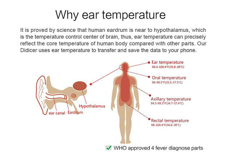 Didicer Smart Digital Infrared Ear Thermometer for Baby Adults Temperature Measuring Health Care for iOS Phones - Green