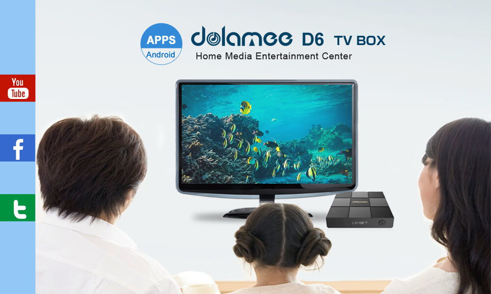 DOLAMEE D6 Amlogic S905X KODI 4K TV BOX Android 6.0 Marshmallow 1G/8G WIFI LAN VP9 HDR10 Media Player