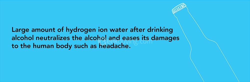 IPM H3O High Quality Hydrogen Ion Energy Bars - Gold