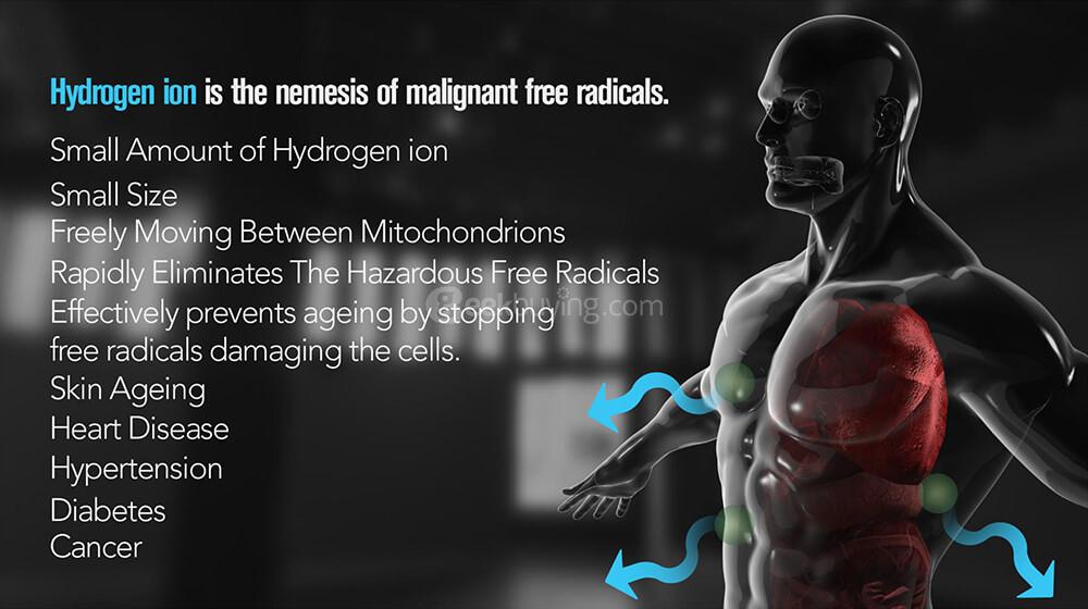 IPM H3O High Quality Hydrogen Ion Energy Bars - Gold