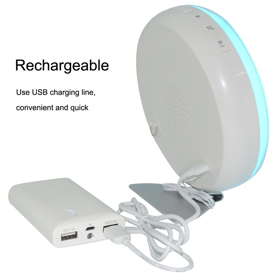 JW-6639F Wake-up Light Sunrise Alarm Clock Touch Control LED FM Radio Bedside USB Night Lamp -US Plug
