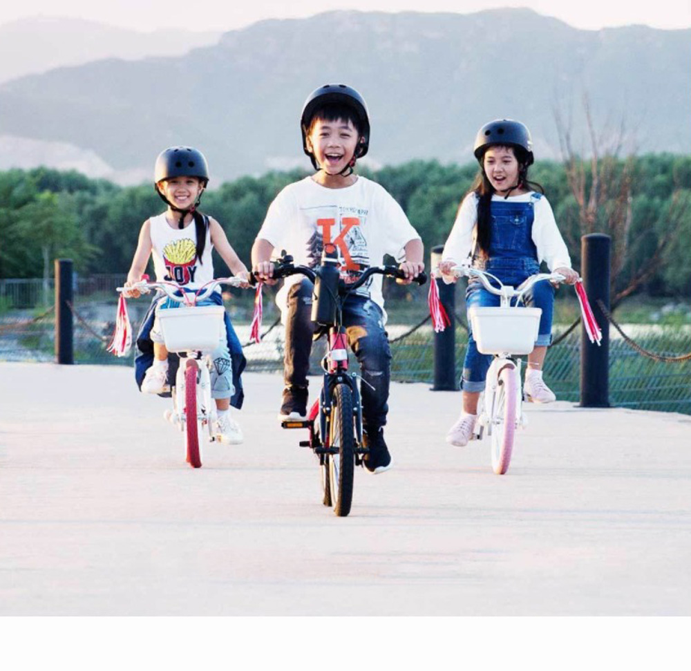 Xiaomi Mijia 14 Inch Kids Bike For Girls Aluminium Alloy With Dual Brakes System Adjustable Saddle - Pink