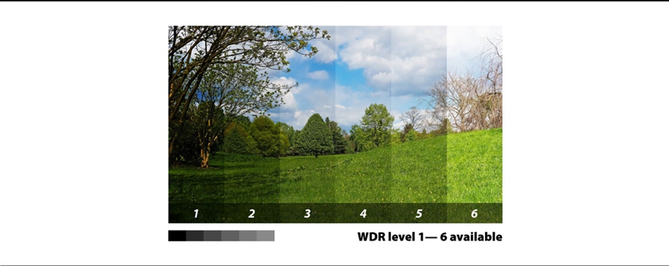 RunCam Micro Eagle 1-6 Level WDR Mirror Flip Image 800TVL 1/1.8" CMOS Sensor N/P 16:9/4:3 Switchable FPV Camera