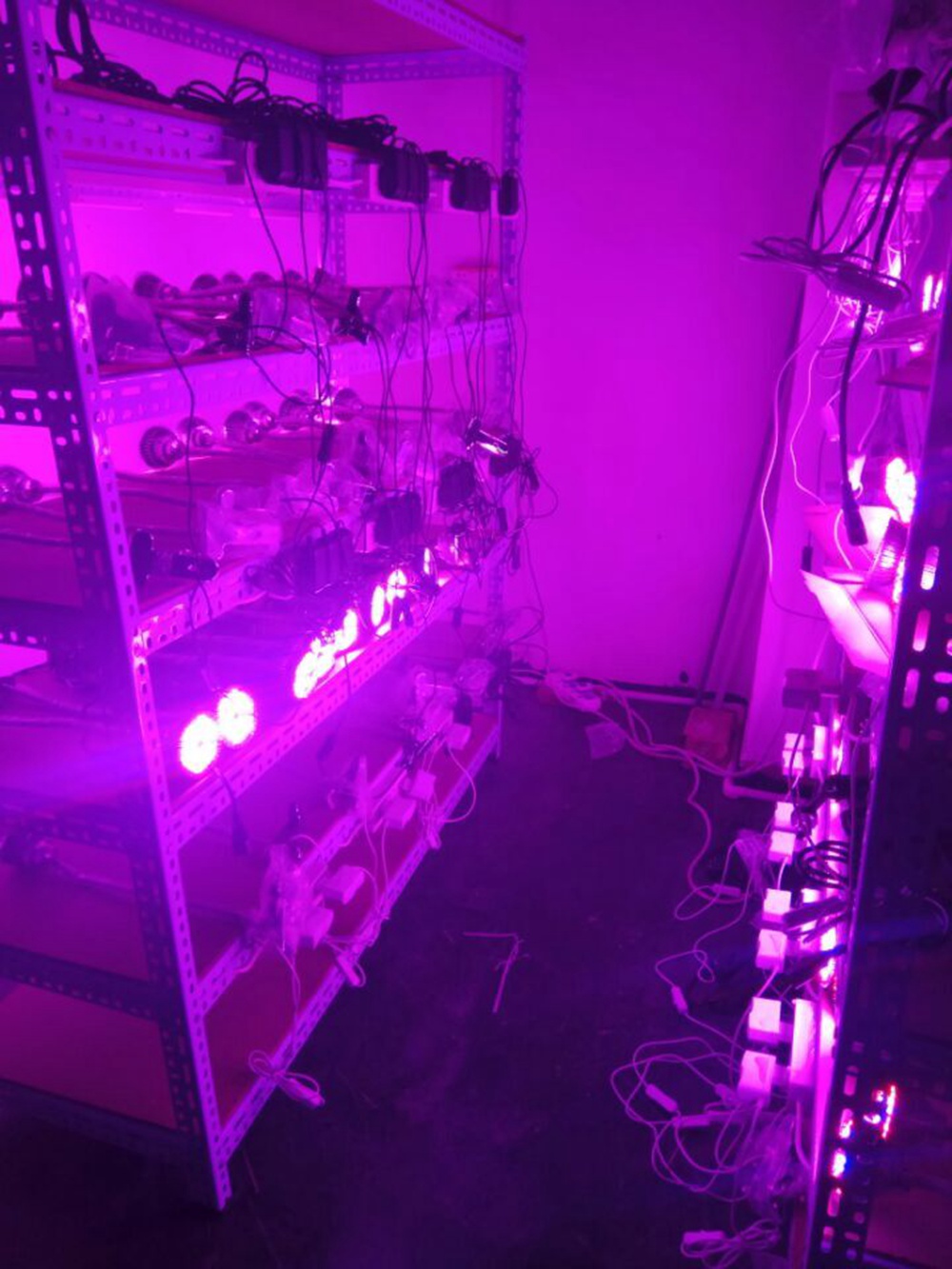 LED Clip Plant Light RFC-J15WC US Plug Home Grow Lights 360 Rotation - Silver
