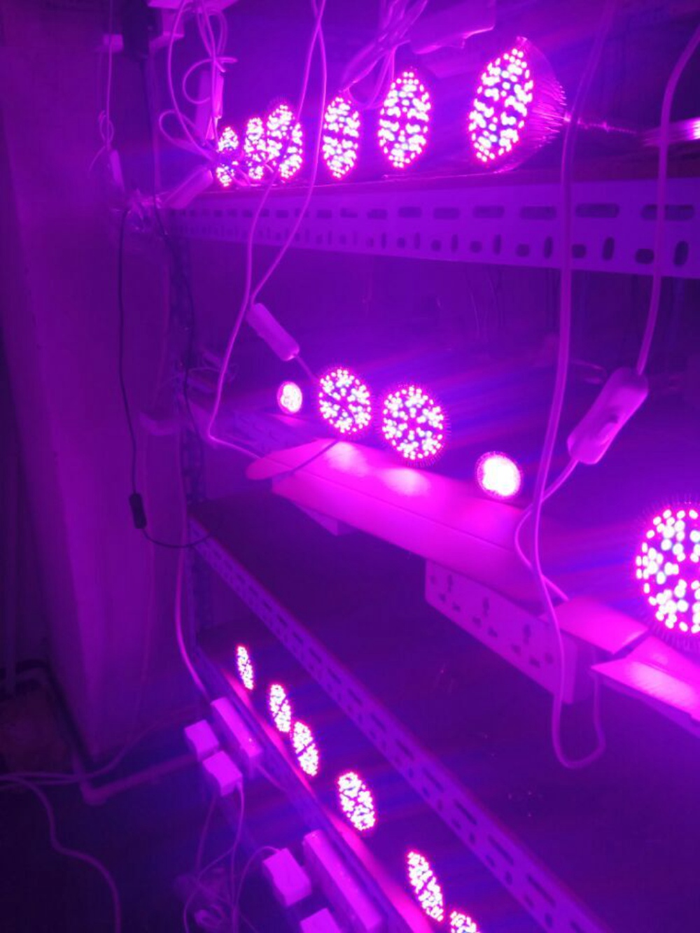 LED Clip Plant Light RFC-J15WC US Plug Home Grow Lights 360 Rotation - Silver