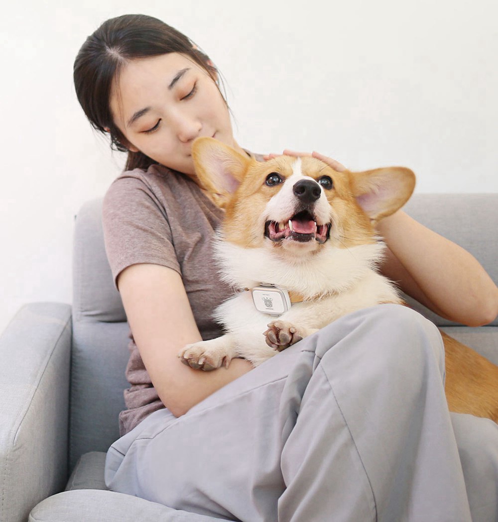 Xiaomi PETBIT Dog Tracker Anti-lost Security Device 30 Days Battery Life Waterproof - Black