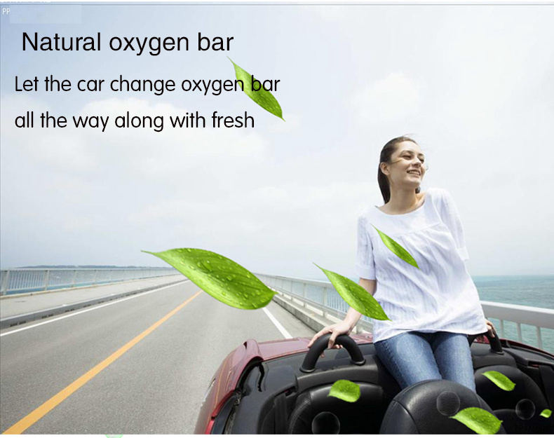 S90B Car Anion Air Purifier Dual USB Ports Car Charger LCD Real-time Voltage Screen Cleaner Ionizer Improve The Air Quality - White