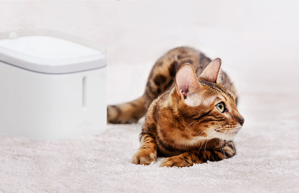 Xiaomi Creative Simple Pet Water Dispenser Four-stage Filter Circulating Water Energy Saving Non-toxic - White