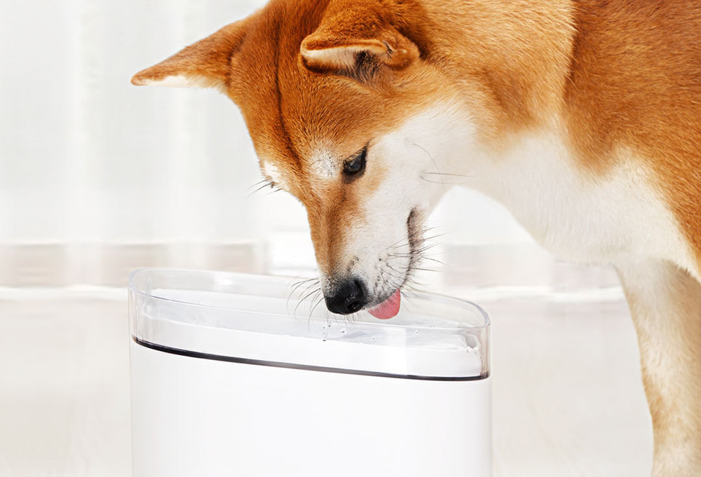 Xiaomi Creative Simple Pet Water Dispenser Four-stage Filter Circulating Water Energy Saving Non-toxic - White