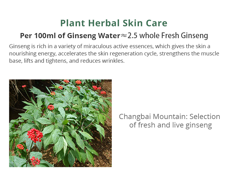 X-Water Panax Formula Extract Vitalizing Stoste 100ml