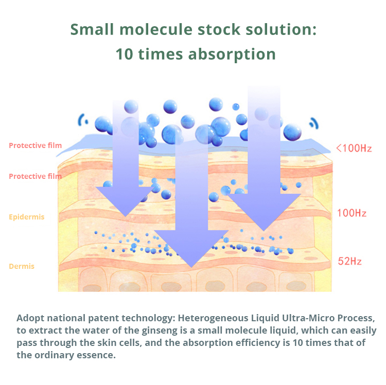 X-Water Panax Formula Extract Vitalizing Stoste 100ml