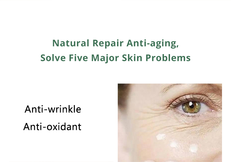 X-Water Panax Formula Extract Vitalizing Stoste 100ml