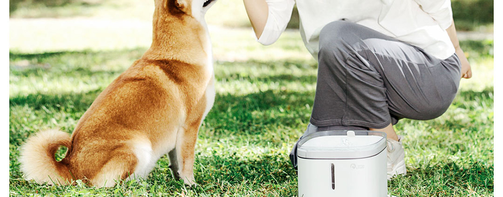 Xiaomi Creative Simple Pet Water Dispenser Four-stage Filter Circulating Water Energy Saving Non-toxic - White