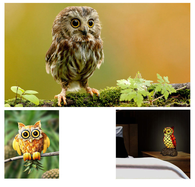 FUMAT Tiffany Style Stained Glass Handcrafted Table Lamp - Creative Colorful Owl Design