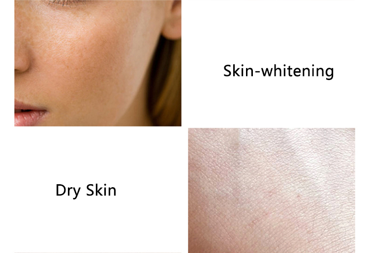 X-Water Panax Formula Extract Vitalizing Stoste 100ml