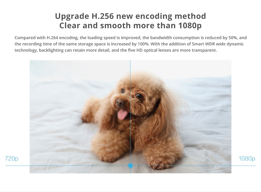 Xiaomi Mijia Smart 1080P WiFi IP Camera 360 Degree Wide-angle AI Detection Infrared Night Vision - White