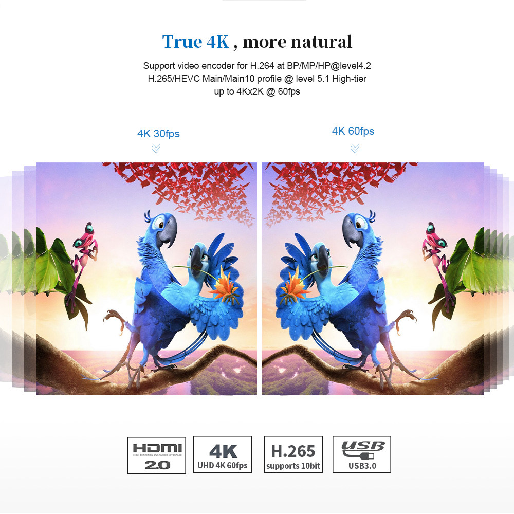 Beelink GT1 MINI Amlogic S905X2 Android 8.1 2GB DDR4 32GB eMMC 4K TV Box with Voice Remote Dual Band WiFi Gigabit LAN Bluetooth USB3.0