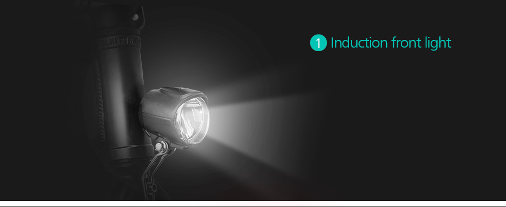 FIIDO D1 Folding Electric Moped Bike Three Riding Modes 14 Inch Tires 250W Motor 25km/h 7.8Ah Lithium Battery 25-40KM Range - Black