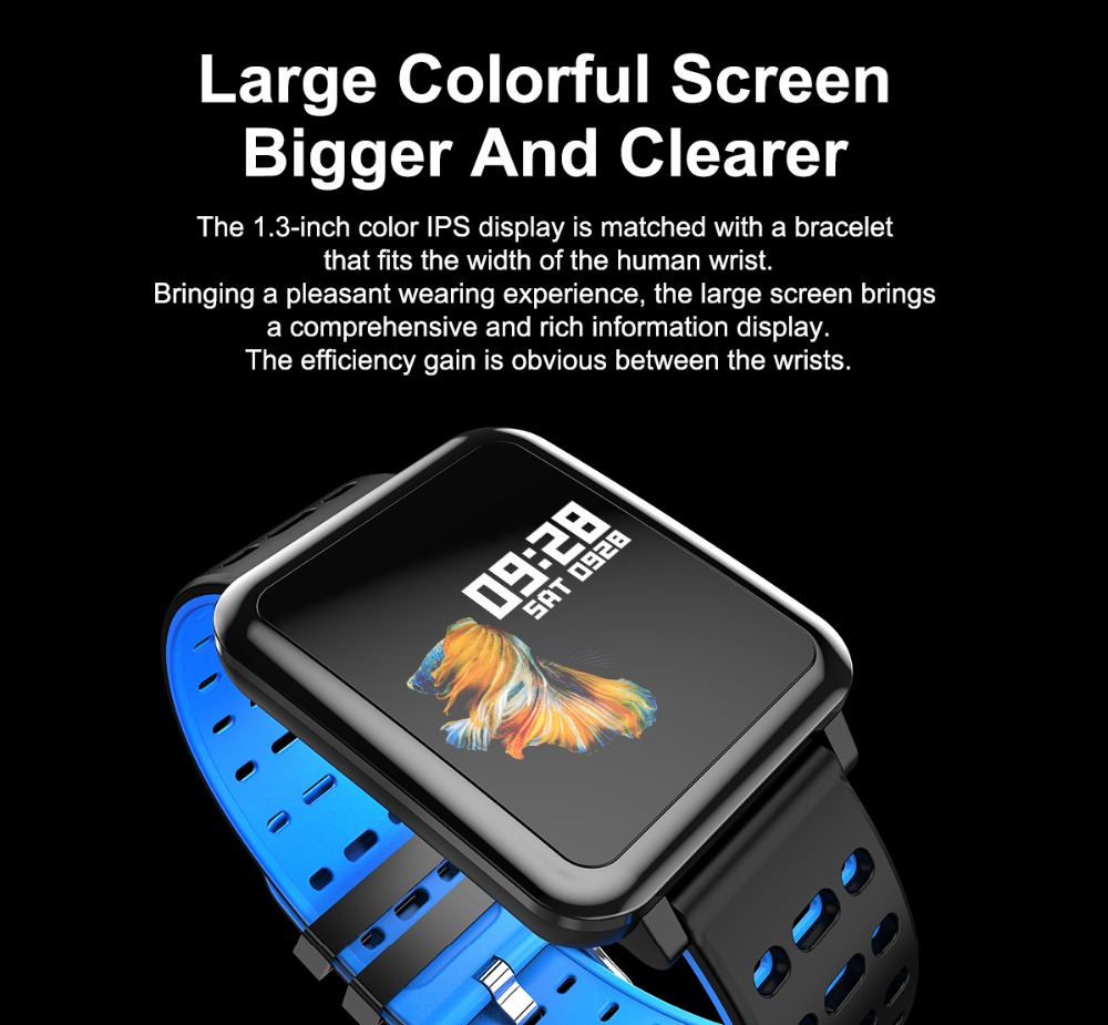 Makibes T2 Smart Watch 1.3 Inch IPS Screen Heart Rate Blood Pressure Monitor IP67 Multi Sports Modes - Black