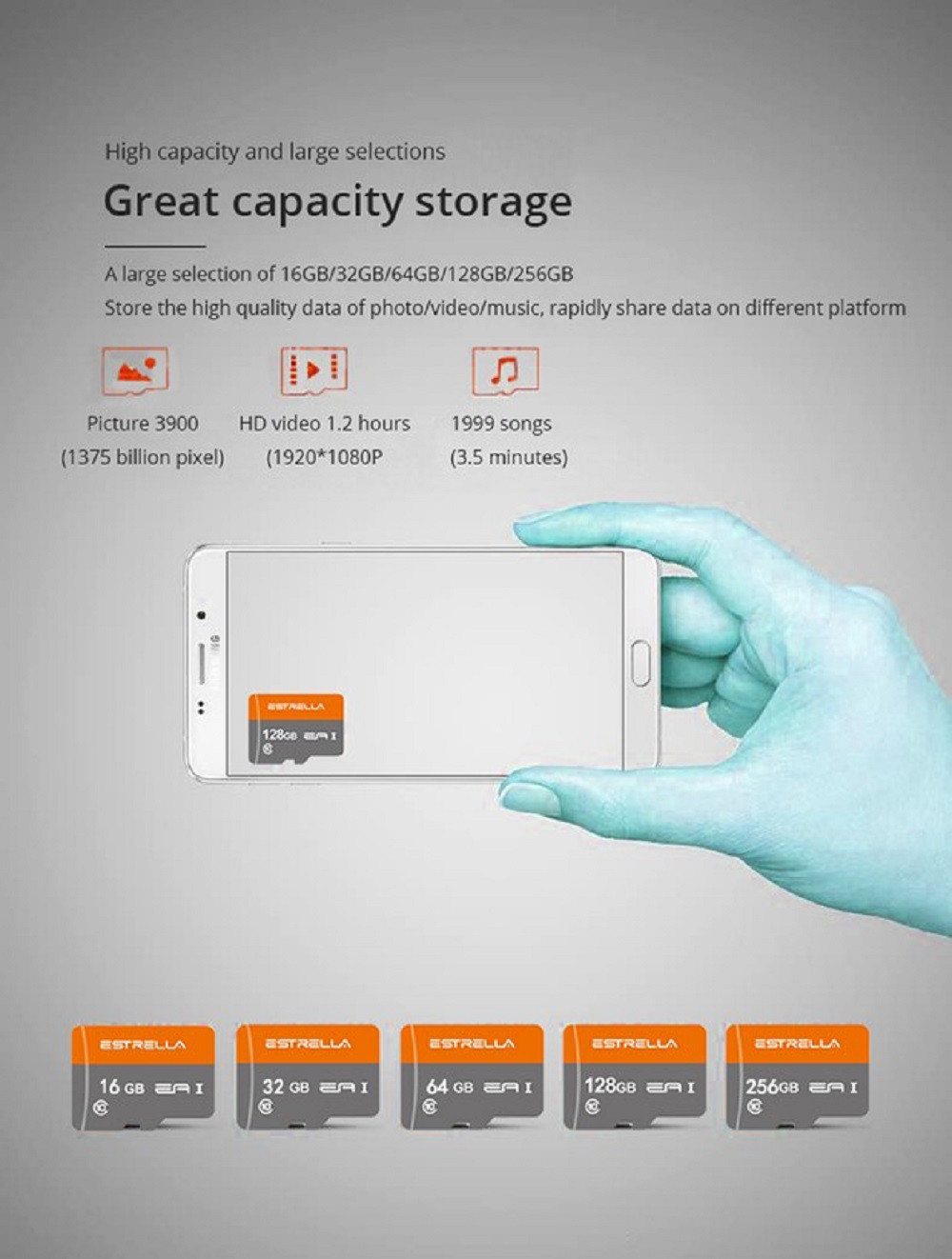 ESTRELLA Class10 SDHC 64GB Micro SD Card
