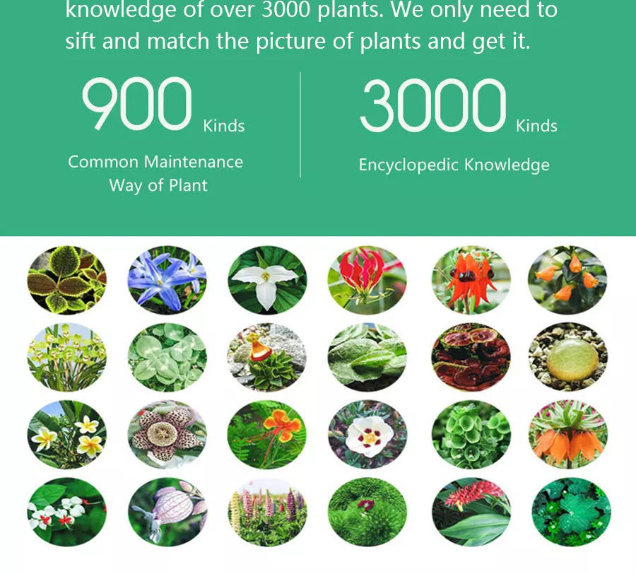 Xiaomi Flora 4 In 1 Flower Plant Monitor Sunlight Moisture Temperature Fertility Nutrient Tester - Light Green