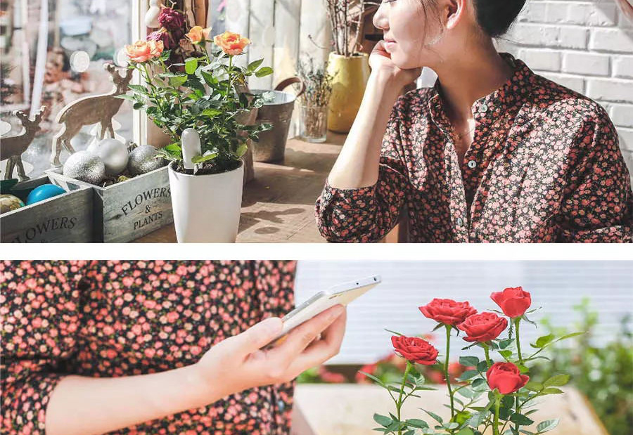 Xiaomi Flora 4 In 1 Flower Plant Monitor Sunlight Moisture Temperature Fertility Nutrient Tester - Light Green