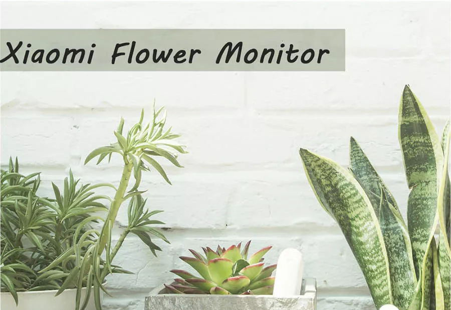 Xiaomi Flora 4 In 1 Flower Plant Monitor Sunlight Moisture Temperature Fertility Nutrient Tester - Light Green