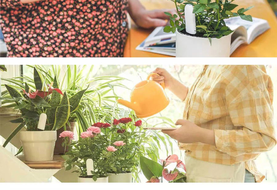 Xiaomi Flora 4 In 1 Flower Plant Monitor Sunlight Moisture Temperature Fertility Nutrient Tester - Light Green