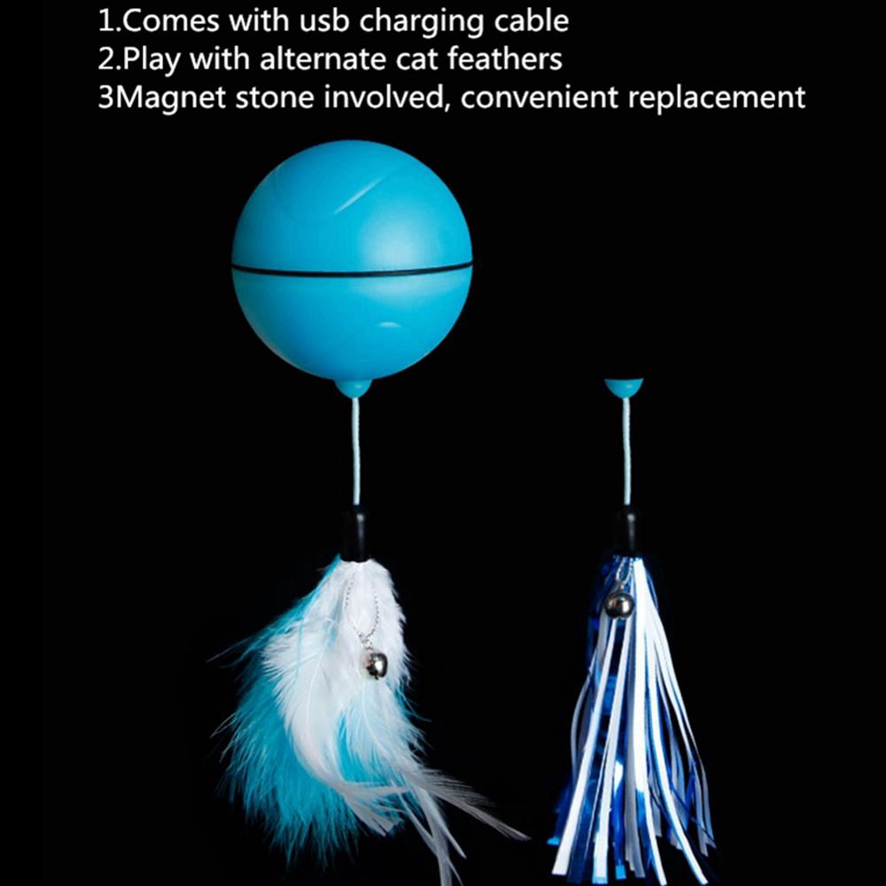 Automatic Cat Teasing LED Flash Rolling Ball for Dogs Cat Toys With 2 pcs Cat Teasing Sticks - White