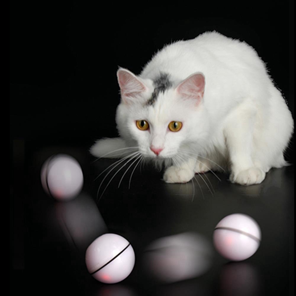 Automatic Cat Teasing LED Flash Rolling Ball for Dogs Cat Toys With 2 pcs Cat Teasing Sticks - White