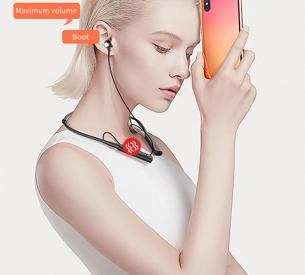 Haylou C10 Bluetooth Sports Earphones Binaural Call Retractable Neckband