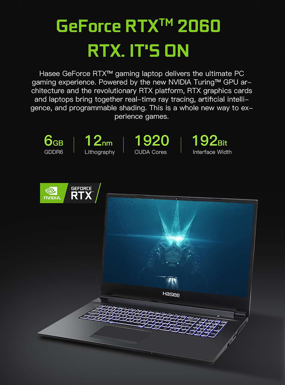 Hasee Z8-CU7NA Laptop Intel Core i5-10750H 15.6 Inch FHD Screen 1920 x 1080 Resolution Windows 10 8GB DDR4 512GB SSD - Black