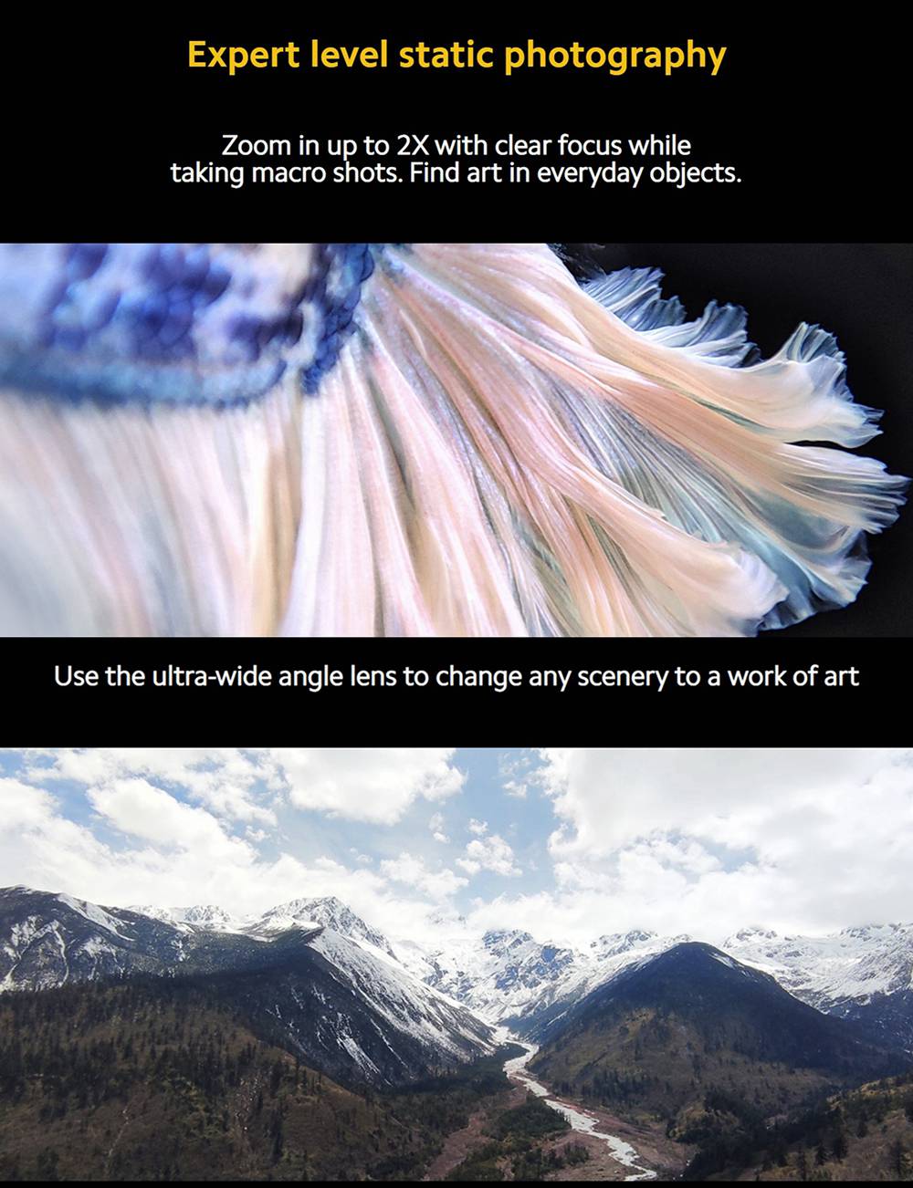 Xiaomi POCO F2 Pro 5G Smartphone Global Version 6.67 Inch AMOLED Screen Qualcomm Snapdragon 865 6GB RAM 128GB ROM Android 10.0 Quad Rear Camera 4700mAh Battery NFC - Electric Purple