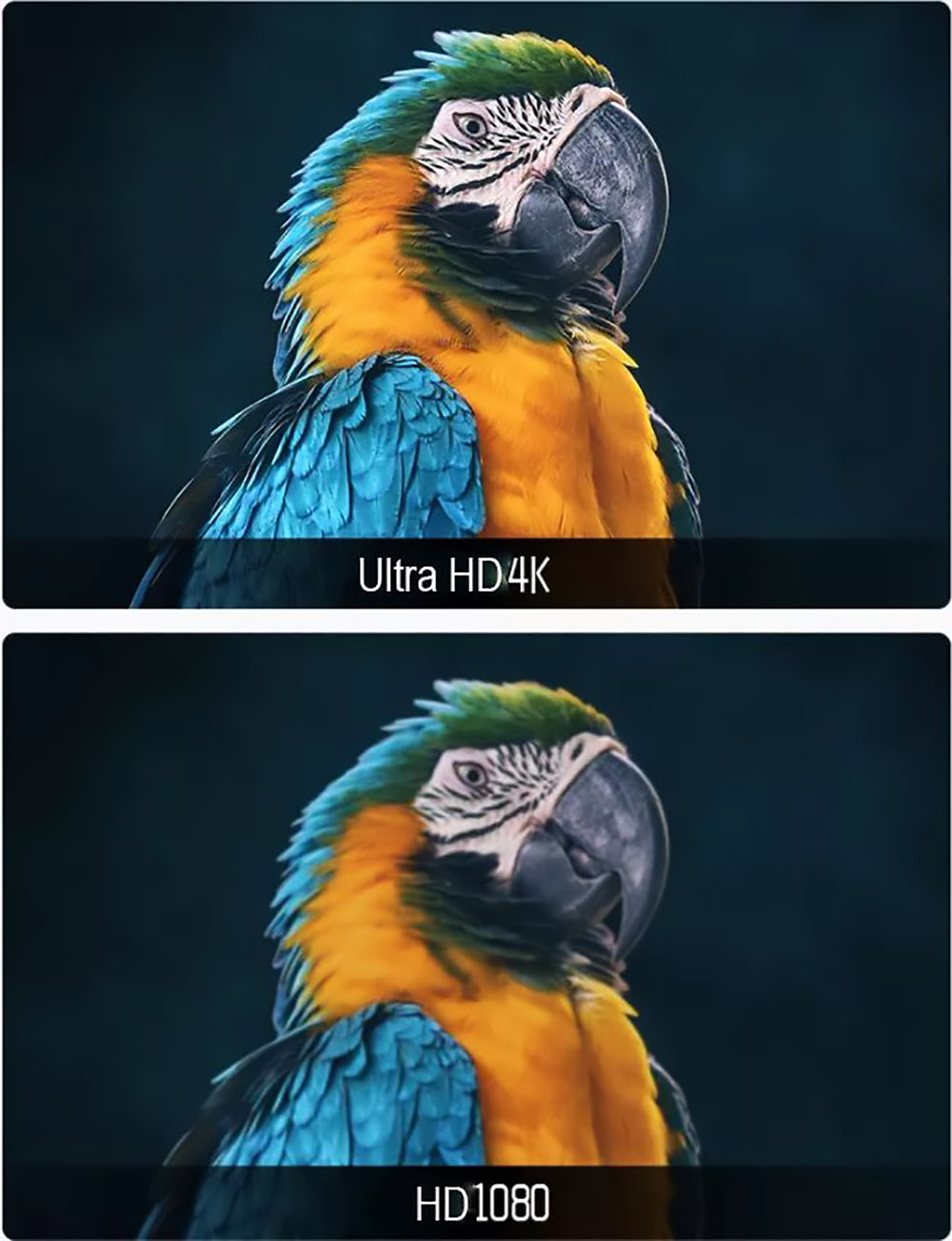 X1 Android LCD Projector 1920*1080 Full HD 1080P 1200 ANSI Lumens for Family Education and Business with US Plug