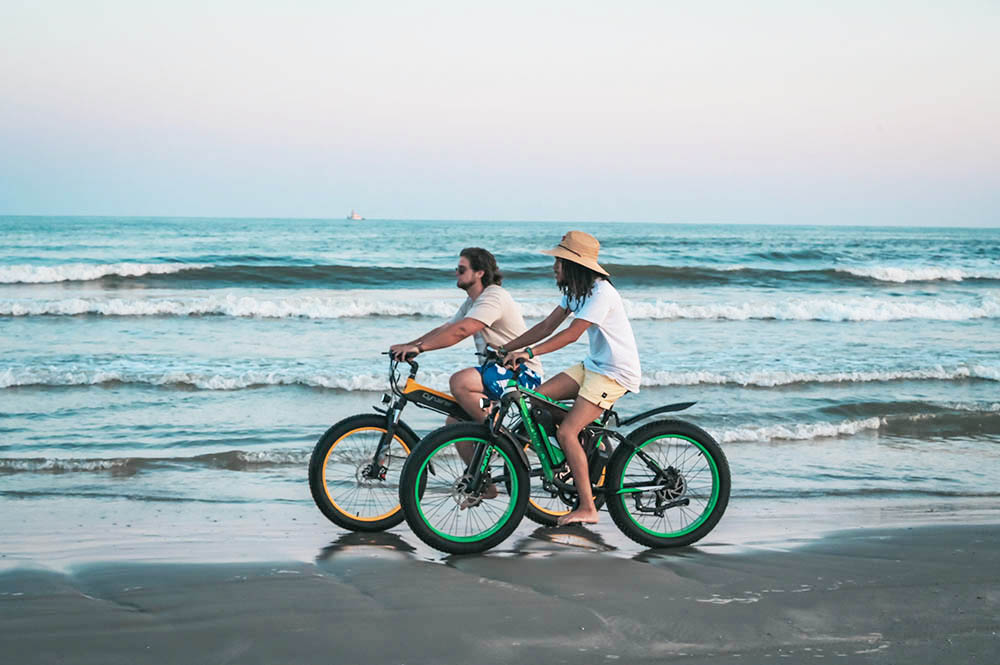 Cyrusher XF800 Electric Bike Full Suspension 26' x 4' Fat Tires 750W Motor 13Ah Removable Battery 28mph Top Speed Green