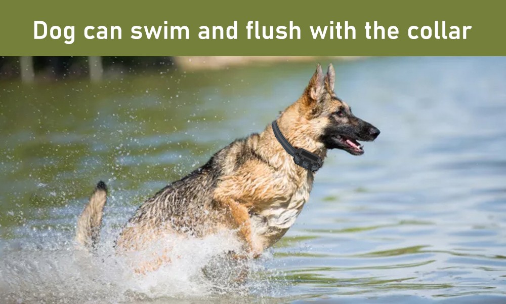 T11 Handheld Dog Training Device with Two-Color Light Design, Ultrasonic Dog Training & Anti Barking Device