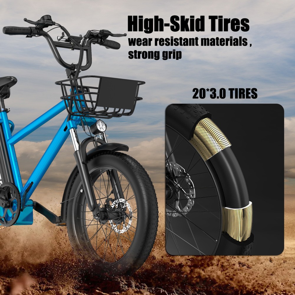 DUOTTS C20 Electric Bike Cargo Bike 48V 15Ah Removable Battery 500W Motor 45km/h Max Speed - Blue