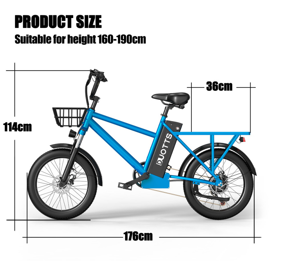 DUOTTS C20 Electric Bike Cargo Bike 48V 15Ah Removable Battery 500W Motor 45km/h Max Speed - Blue