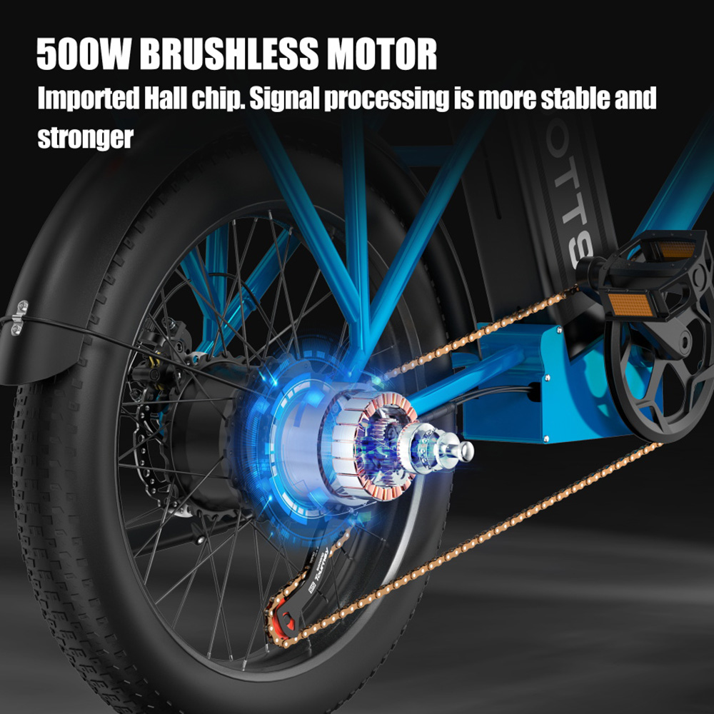 DUOTTS C20 Electric Bike Cargo Bike 48V 15Ah Removable Battery 500W Motor 45km/h Max Speed - Blue