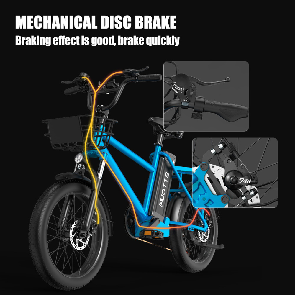 DUOTTS C20 Electric Bike Cargo Bike 48V 15Ah Removable Battery 500W Motor 45km/h Max Speed - Blue